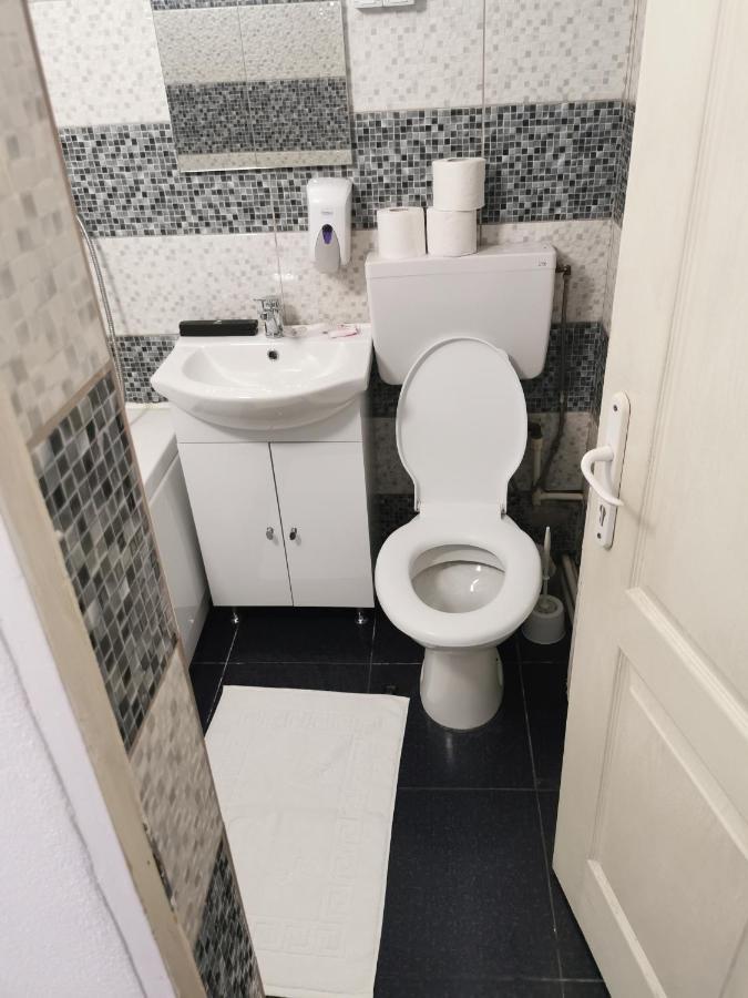 Târgu JiuCasa Davisonアパートメント エクステリア 写真