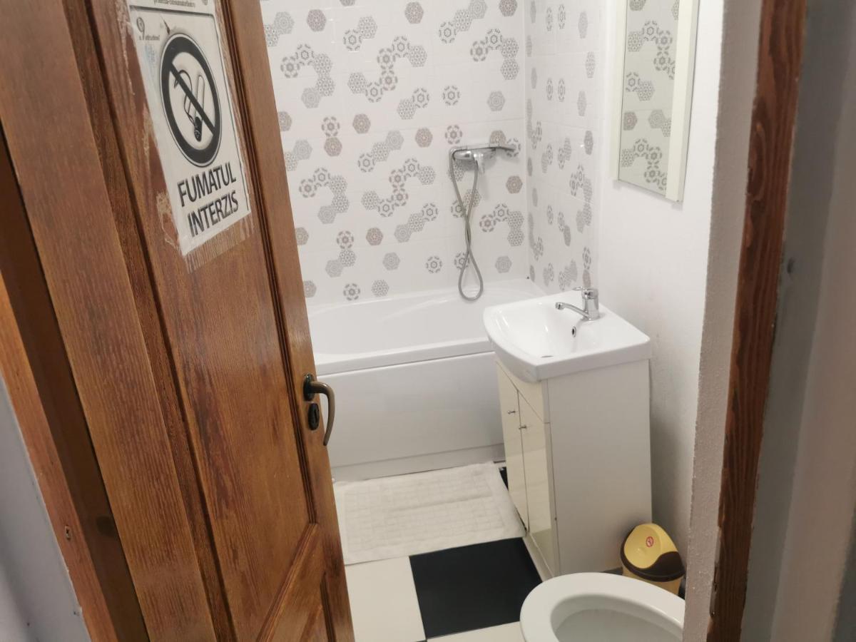 Târgu JiuCasa Davisonアパートメント エクステリア 写真