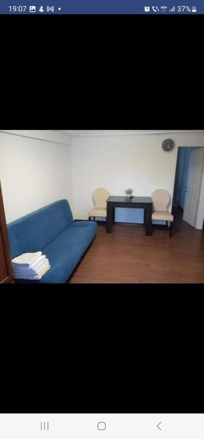 Târgu JiuCasa Davisonアパートメント エクステリア 写真
