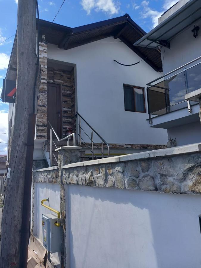 Târgu JiuCasa Davisonアパートメント エクステリア 写真