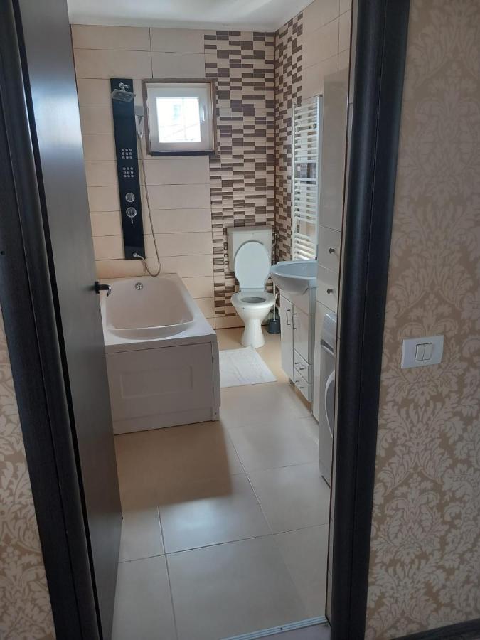 Târgu JiuCasa Davisonアパートメント エクステリア 写真