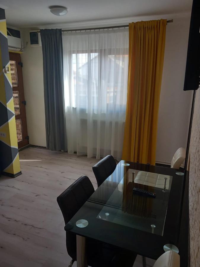 Târgu JiuCasa Davisonアパートメント エクステリア 写真