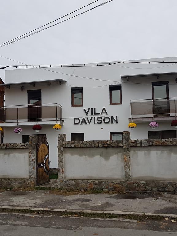 Târgu JiuCasa Davisonアパートメント エクステリア 写真