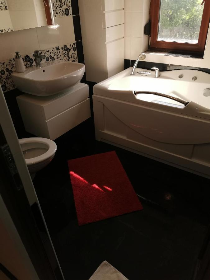 Târgu JiuCasa Davisonアパートメント エクステリア 写真